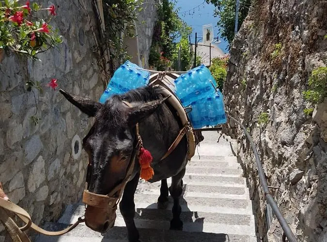 Будинок відпочинку Estate4home - Goat Path